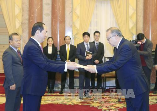  陈大光（左）接受秘鲁新任驻越大使莫雷利·萨尔加多（Augusto Morelli Salgado）递交国书。越通社记者 颜创 摄 