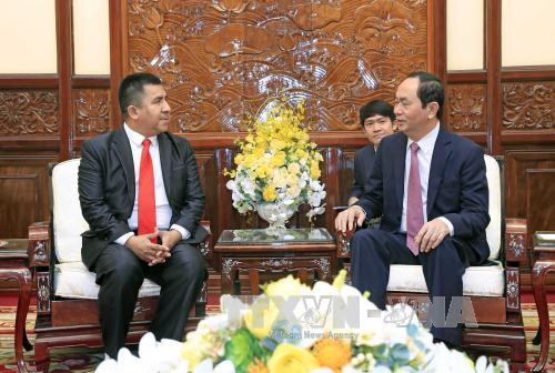  陈大光（右）会见玻利维亚新任驻越大使吉佩斯。越通社记者 颜创 摄