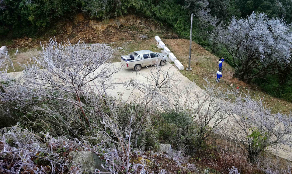 高平省高山出现结霜冰挂景象。越通社记者 国达 摄