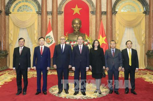  陈大光（右四）与秘鲁驻越大使莫雷利·萨尔加多（左三）合影。越通社记者 颜创 摄