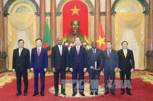 陈大光（右四）与赞比亚驻越大使瓦鲁比达·埃玛坎多（左三）合影。越通社记者 颜创 摄