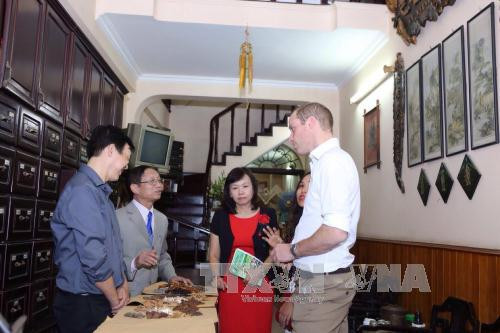 英国王子威廉参观河内古街里的药店（图片来源：越通社）