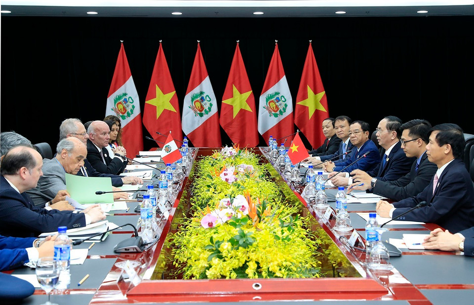 越南国家主席陈大光与秘鲁总统佩德罗·巴勃罗·库琴斯基举行双边会晤（图片来源：越通社）