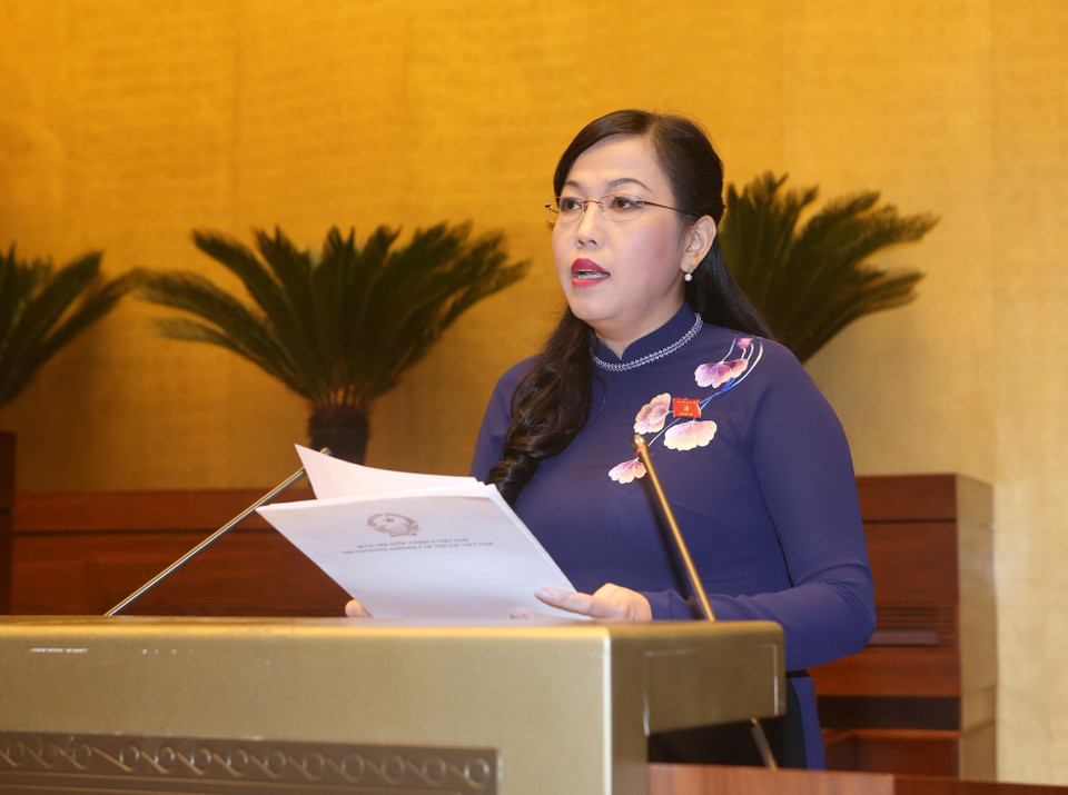 国会常务委员会委员、国会常委会民愿委员会主任阮青海在会议上发表讲话。（图片来源：越通社）