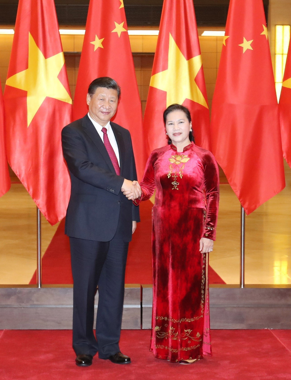 越南国会主席阮氏金银会见中共中央总书记、中国国家主席习近平。（图片来源：越通社）