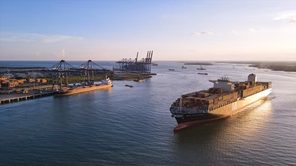 MSC ALEXANDRA船载重165908吨，船长365.5米，停靠在SSIT港口，装卸货物近12000 TEU。图自越通社/越南画报