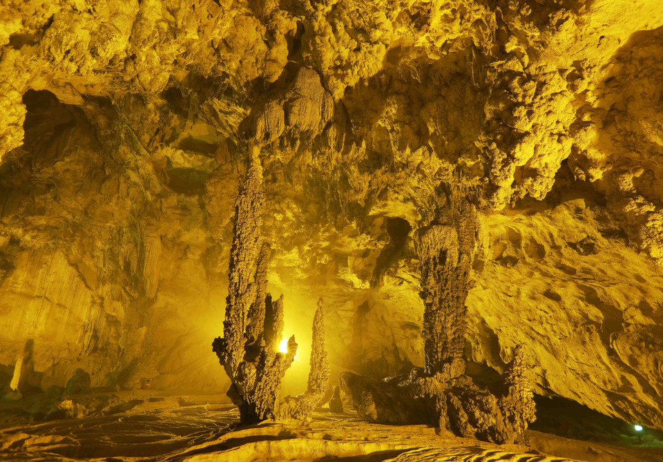 形状像仙人掌一样的钟乳石。图自越通社/越南画报