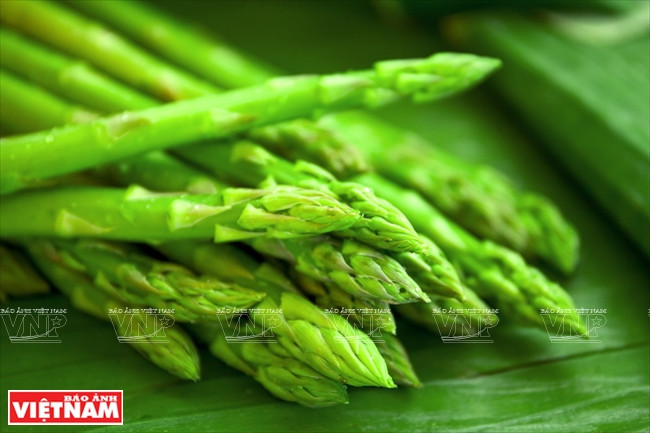 宁顺省每公斤芦笋价格约为6-9万盾，现是带来高经济效益的作物。 越南画报记者 阮伦 摄