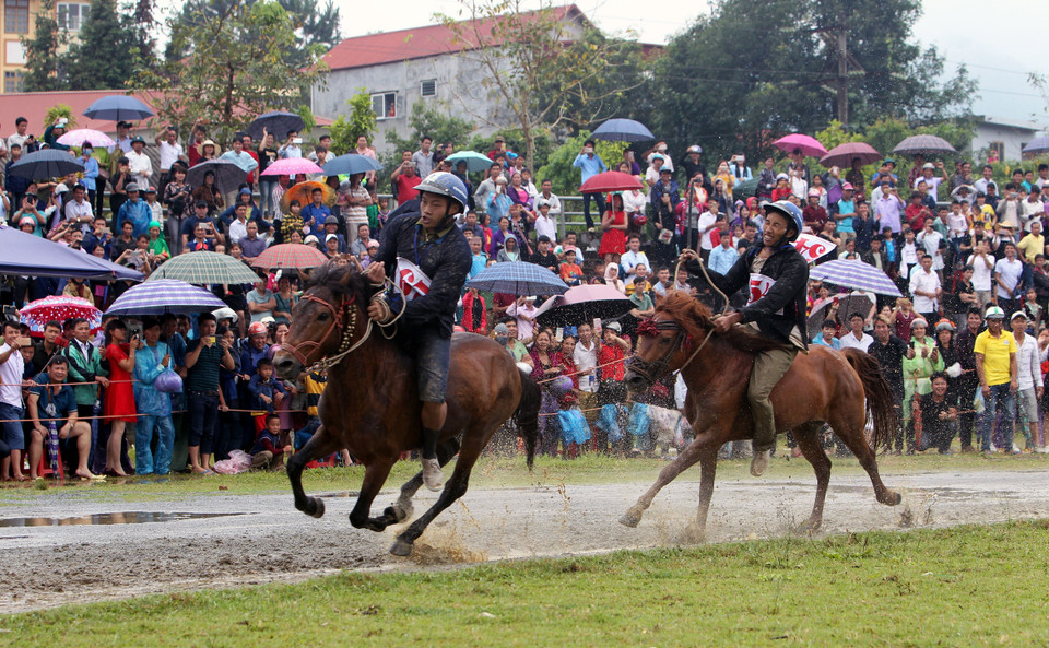 2018年北河传统赛马比赛的决赛场景。越通社记者 国庆 摄