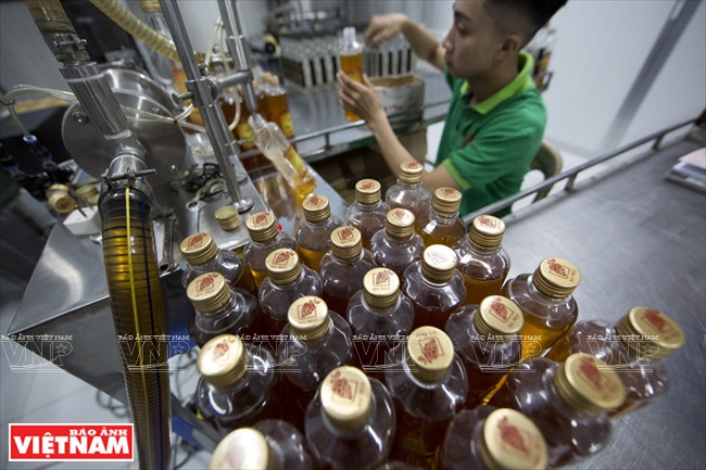 黎俊卿员工正在三梅庄园潘郎葡萄果汁提取和旋盖操作工序。越南画报记者 仲正 摄