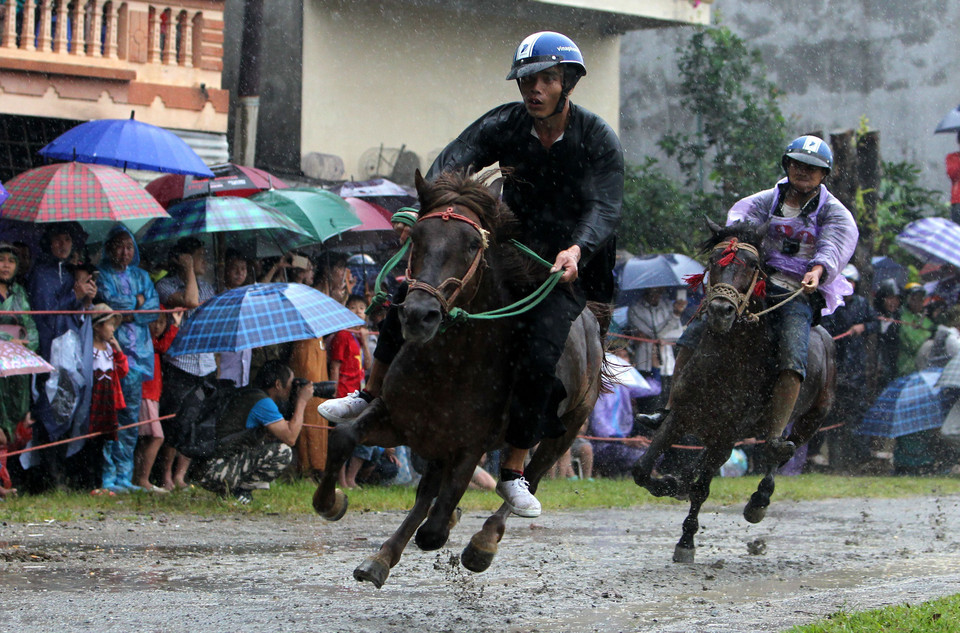 2018年北河传统赛马比赛的决赛场景。越通社记者 国庆 摄