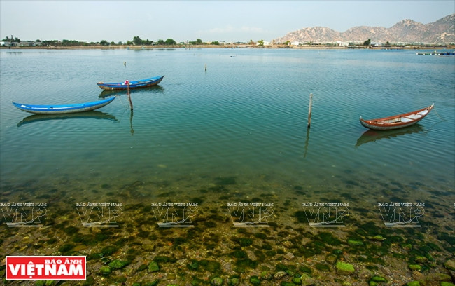 宁顺省宁海县奈谭。（图片来源：越南画报）