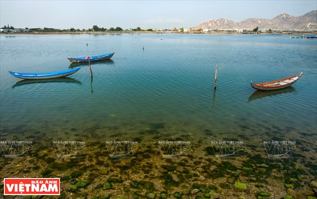 宁顺省宁海县奈谭。（图片来源：越南画报）