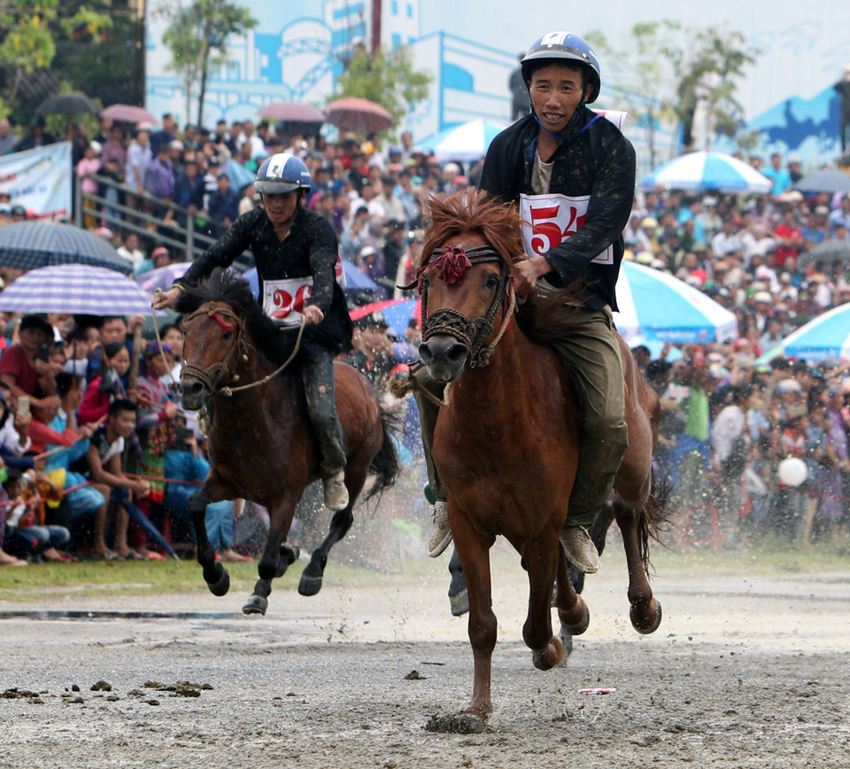 2018年北河传统赛马比赛的决赛场景。越通社记者 国庆 摄