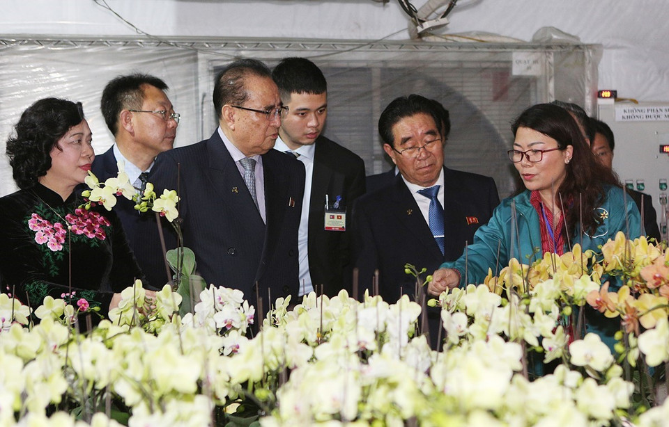 —2月28日下午，朝鲜劳动党领导代表团已参观河内市丹凤县丹淮合作社兰花种植模式。图自越通社