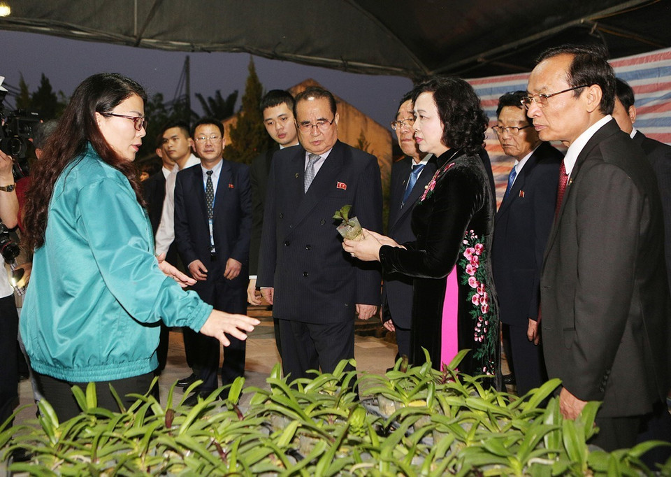 朝鲜劳动党领导代表团已参观河内市丹凤县丹淮合作社兰花种植模式。图自越通社