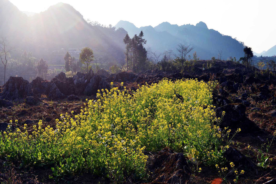 同文岩石高原的原始美景。（图片来源：越通社）