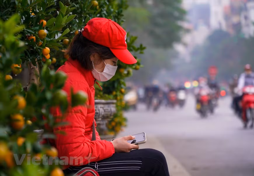 很多小商户，由于购买人少，只好使用电话上网打发时间。回顾往年，现在是桃花、金橘和花卉盆景市场最热闹的时候，但今年市场的气氛仍然阴沉。疫情演变复杂难料，所以春节期间人们会减少购物支出。希望疫情尽快结束，生产、经济活动恢复发展，人们能挣到钱，桃花和金橘也会卖得更好。（图自Vietnam+）