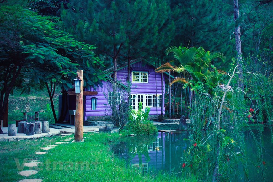 大叻幽灵森林旅馆旅游区以紫色和绿色空间及新鲜空气而备受游客的青睐。图自Vietnam+