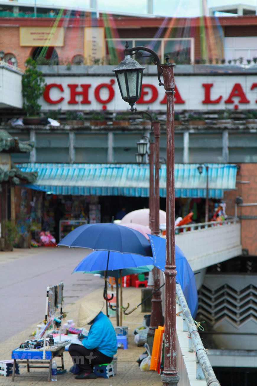 大叻集市也是游客来到“千花之城”时不可错过的地方。图自Vietnam+