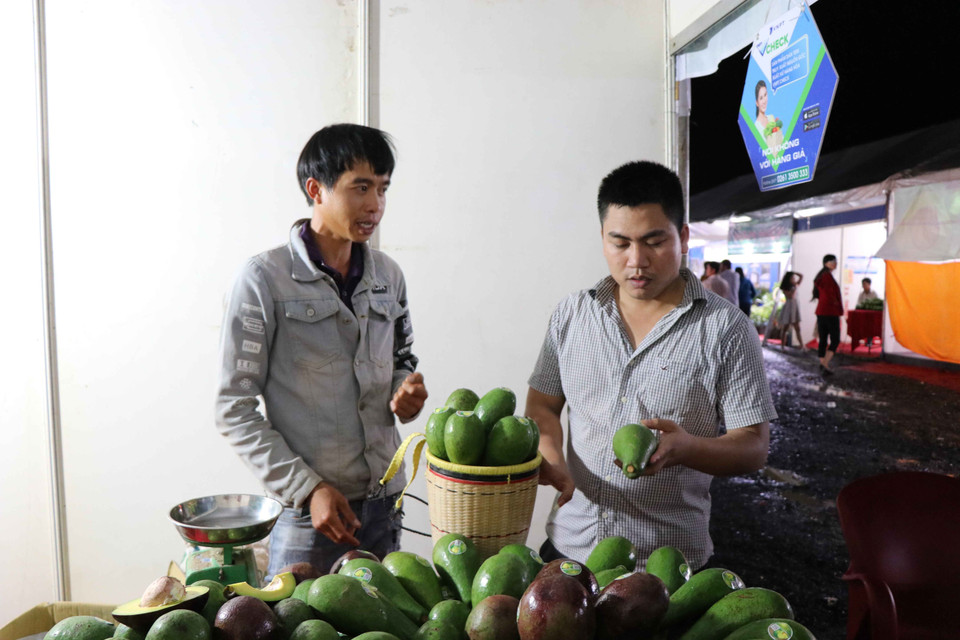 组委会在此期间还举行庆祝牛油果成熟季节的祭祀仪式、牛油果展销会、牛油果供需会议等活动。越通社记者 玉明 摄