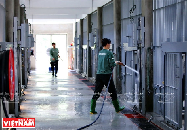 清洁员工清洗熊舍。本报记者 功达 摄