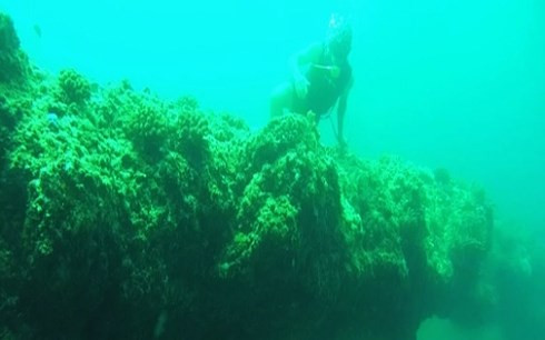 越南广义省李山岛县水下“马蜂窝”。 （图片来源：因特网）
