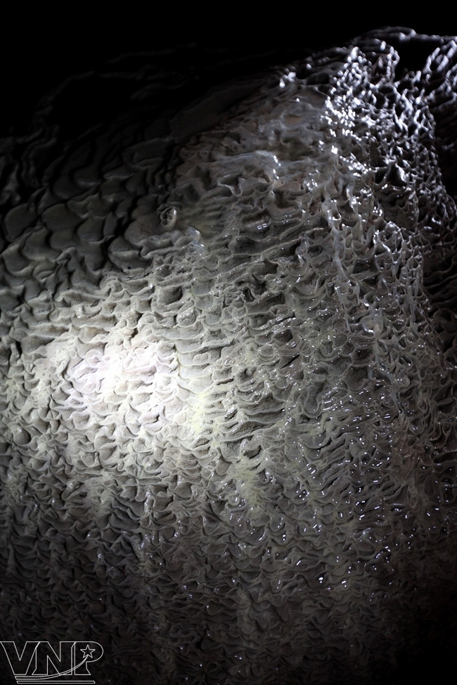 数百万年来石灰岩被侵蚀，钙质溶于水中造成的自然现象。（图片来源：越通社《越南画报》）