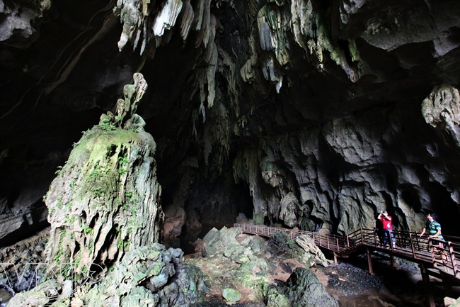 暗洞内千姿百态的石乳和石柱。（图片来源：越通社《越南画报》）