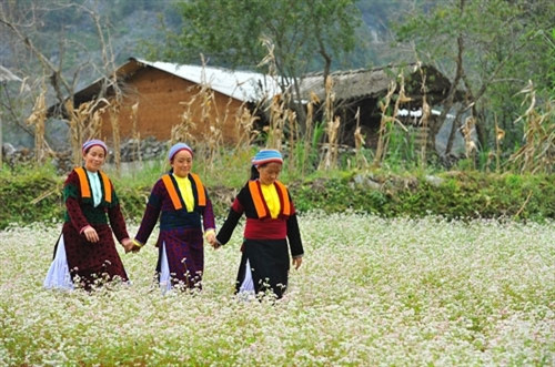 （图片来源：dantocmiennui.vn）