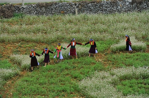 （图片来源：dantocmiennui.vn）