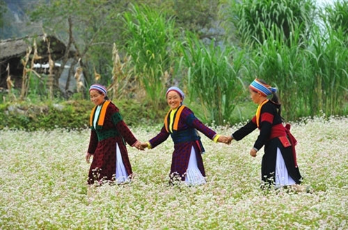 （图片来源：dantocmiennui.vn）