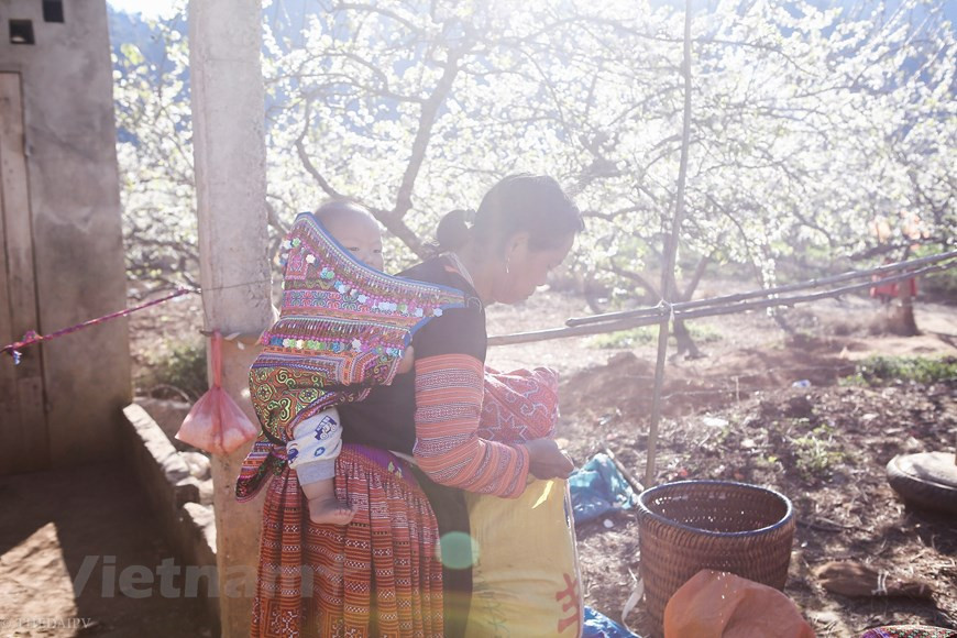 Vietnam+记者 世大摄