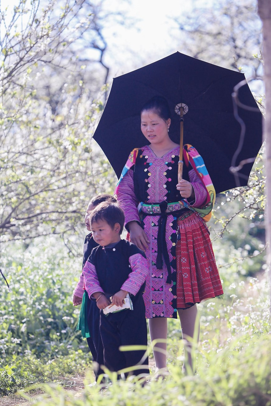 Vietnam+记者 世大摄