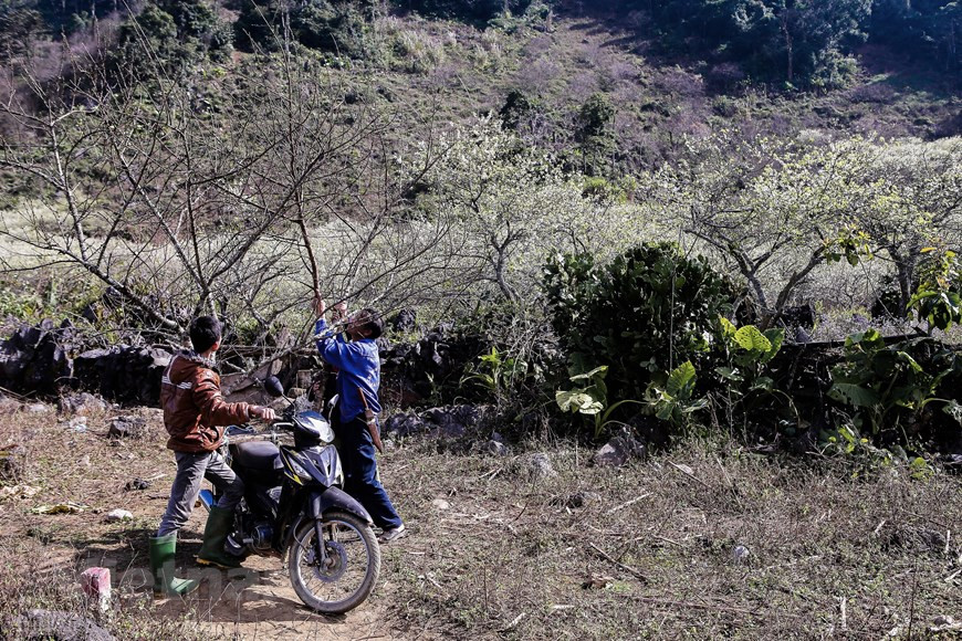 Vietnam+记者 世大摄