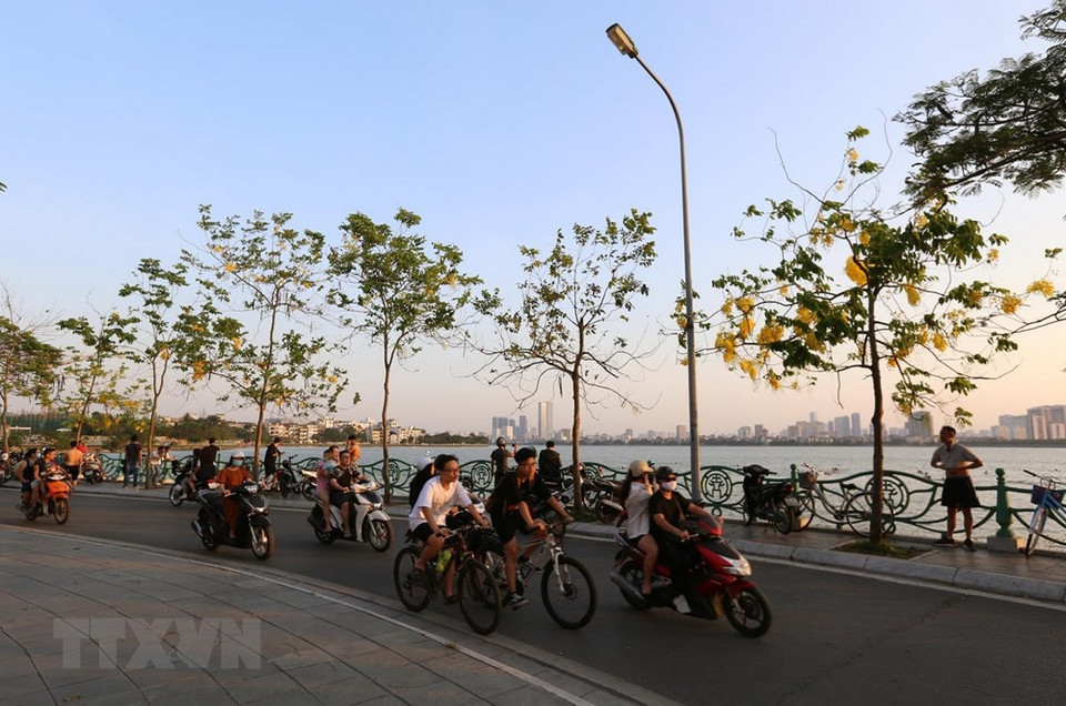 夏天下午时，西湖边的腊肠花开满枝头，满树金黄、小花如彩蝶飞舞、花谢时落英缤纷。越通社记者 英俊 摄