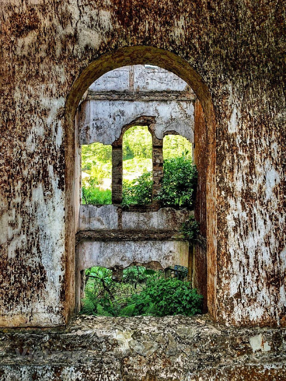 墙壁和窗户被厚厚的青苔覆盖，但仍然非常牢固。越通社记者 春梅 慑