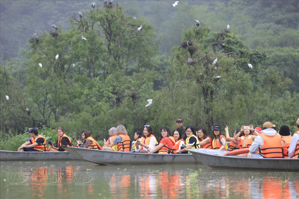 游客参观通岩旅游区。图自越通社/越南画报