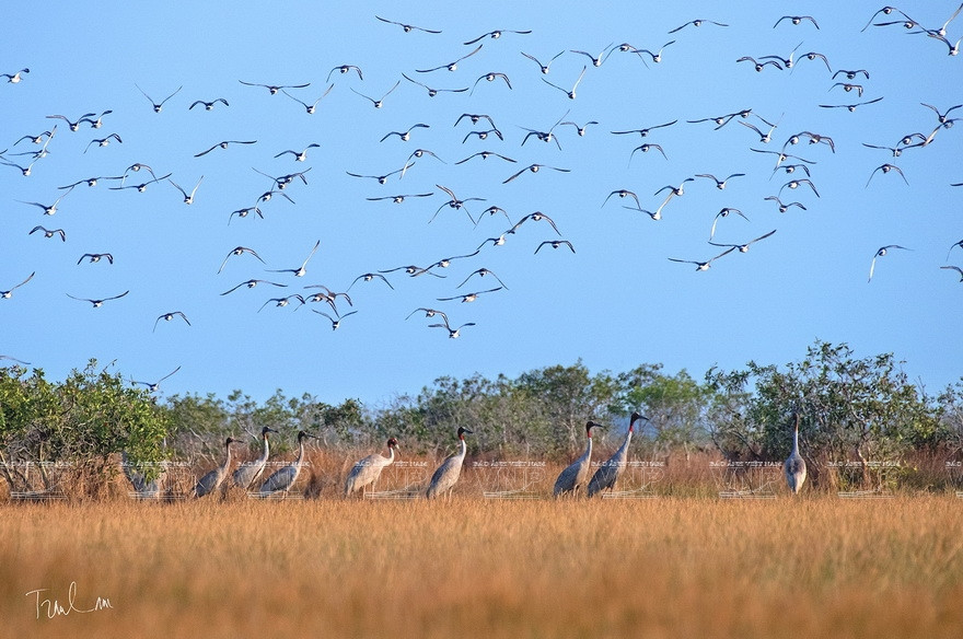 “大自然瞬间”摄影展上展示的特色作品。图自 越通社