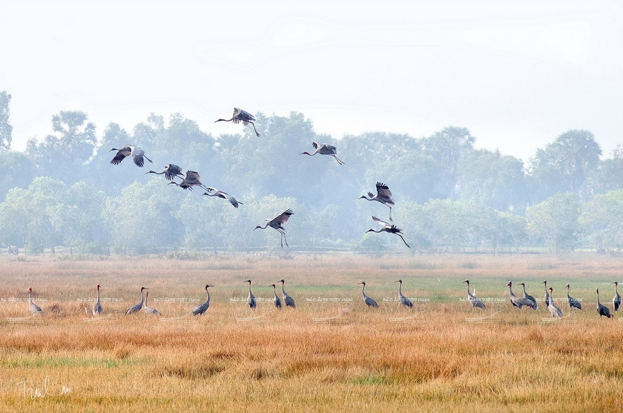“大自然瞬间”摄影展上展示的特色作品。图自 越通社