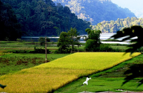 （图片来源：越南《民智报》）