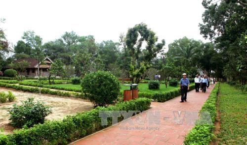 阮攸国家级特别遗迹区的绿色空间。（图片来源：越通社）