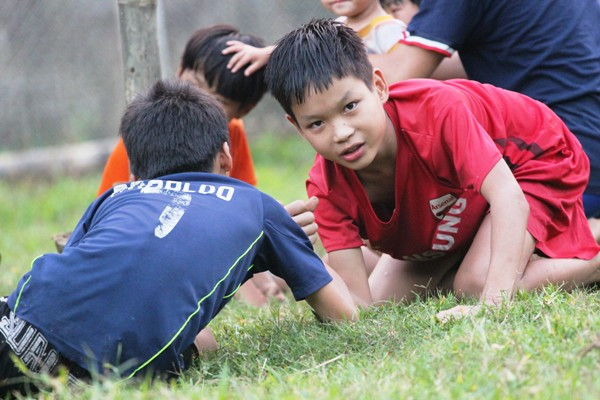 （图片来源：越南《民智报》）