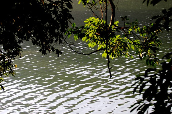 （图片来源：越南《民智报》）