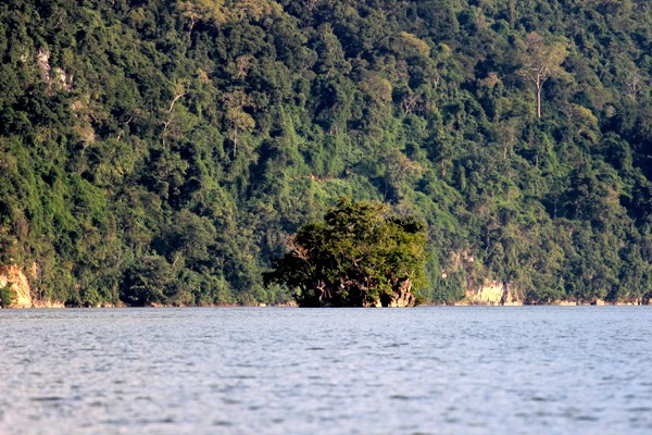 （图片来源：越南《民智报》）