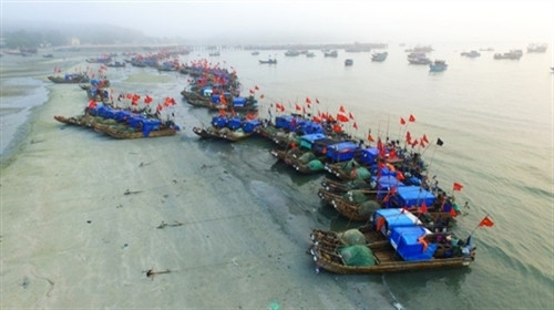 海洋经济是姑苏岛的主要经济行业（图片来源：dantocmiennui.vn）