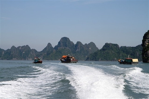 拜子龙湾是东南亚最美的五个旅游景点之一（图片来源：dantocmiennui.vn）