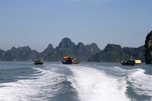 拜子龙湾是东南亚最美的五个旅游景点之一（图片来源：dantocmiennui.vn）