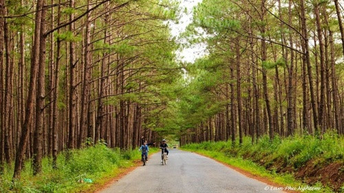 得然山口周边地区也是值得一游的好去处。骑自行车漫游珠山松林，倾听微风徐徐掠过，放飞心灵，享受大自然风光之美将会成为你旅行中精彩难忘的一次体验（图片来源：vnexpress.net）