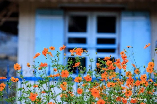 整座小镇只有一家宾馆供游客住宿。然而，你可以在周边市镇为自己寻找一个可以驻留的地方（图片来源：vnexpress.net）